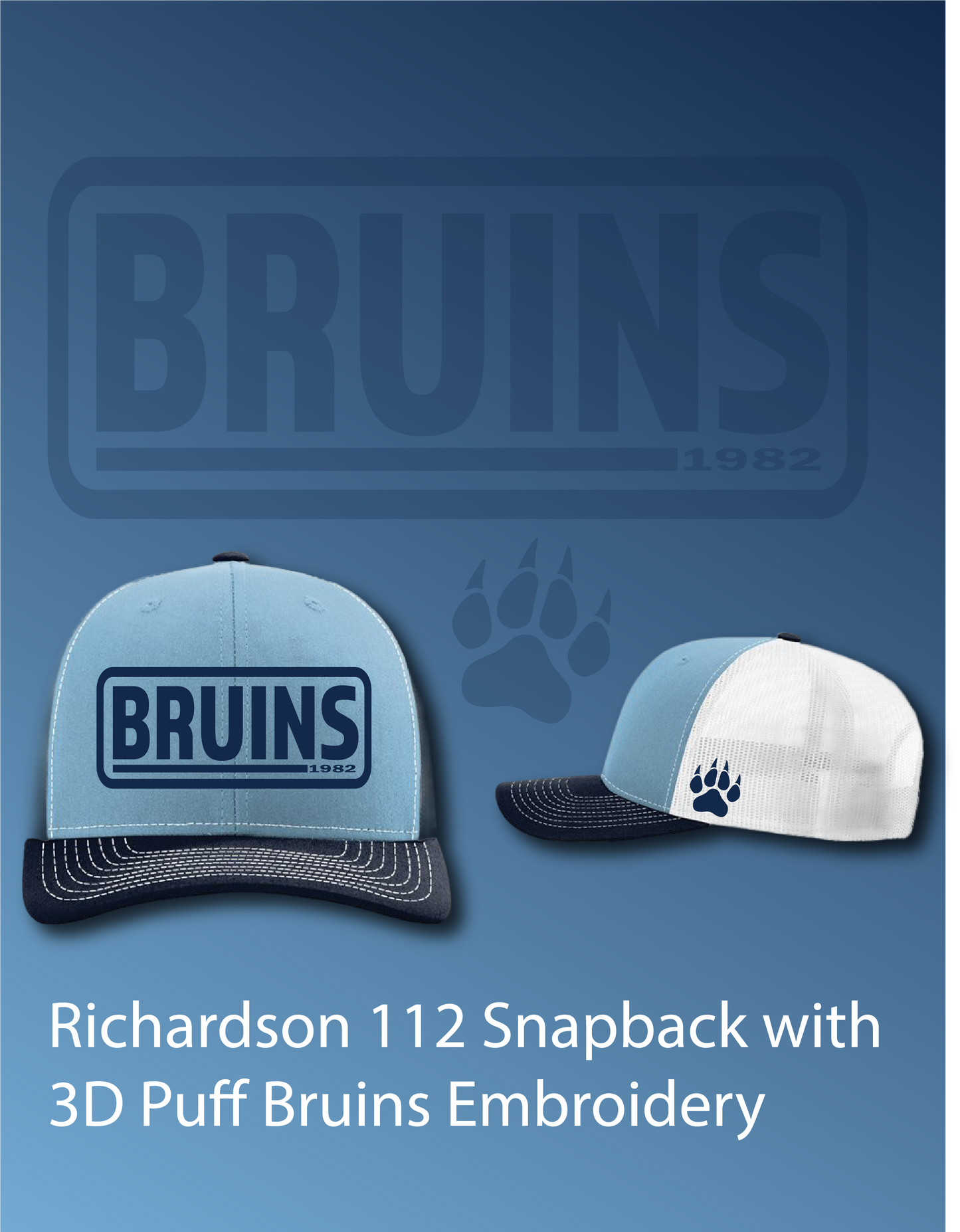 Bruins 3D Puff Embroidered (Richardson 112)