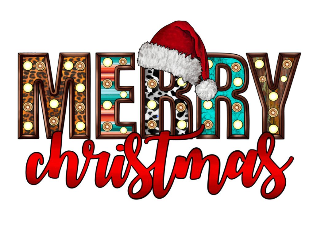 Merry Christmas with Santa Hat